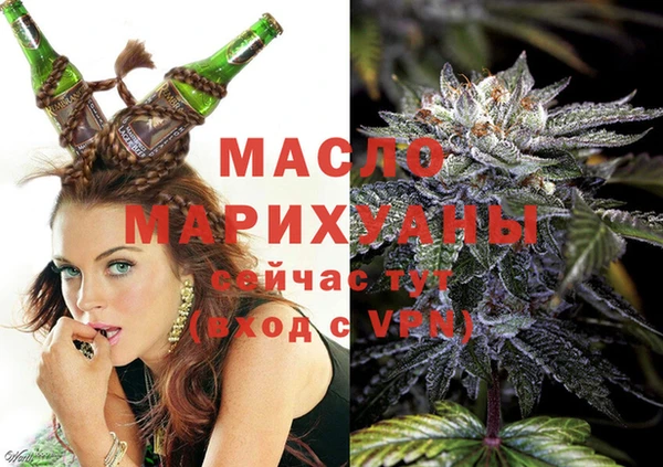 молекула духа Волоколамск